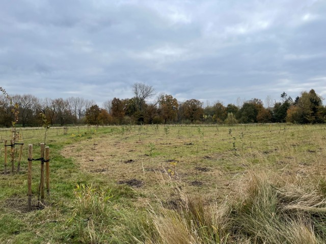 Aurubis Natuurpunt boomplant 16-11-2024 (6)